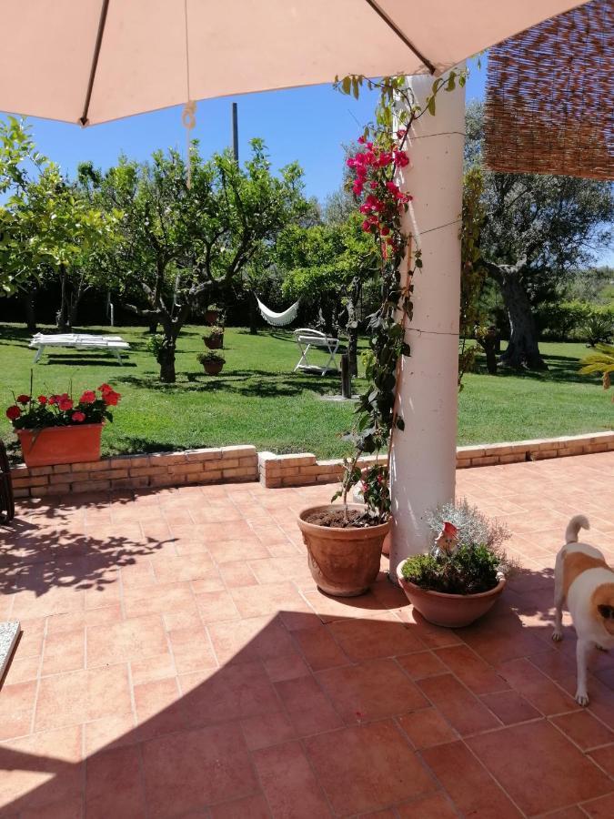 La Collina Del Riccio Apartment Ortona Luaran gambar