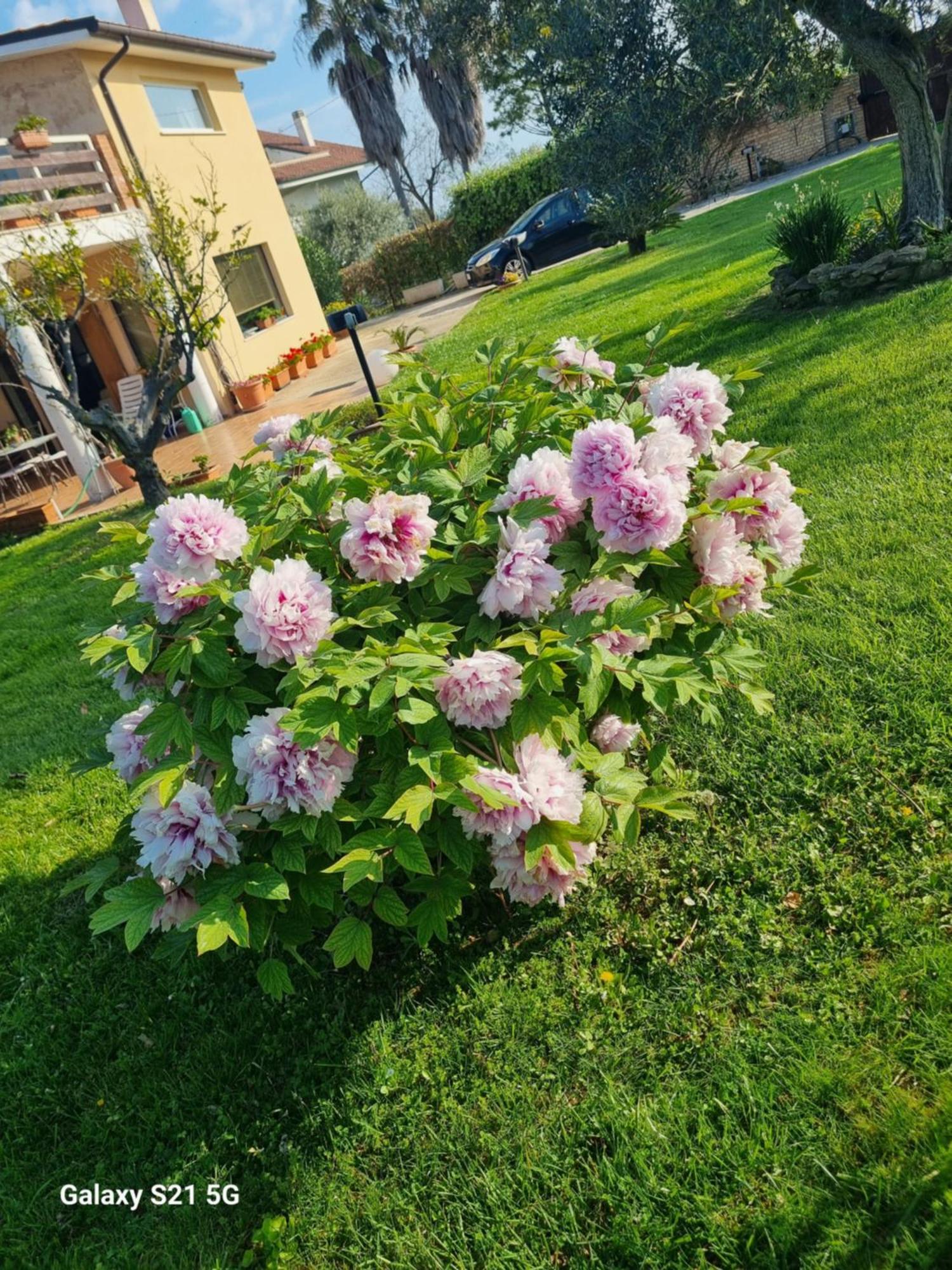 La Collina Del Riccio Apartment Ortona Luaran gambar